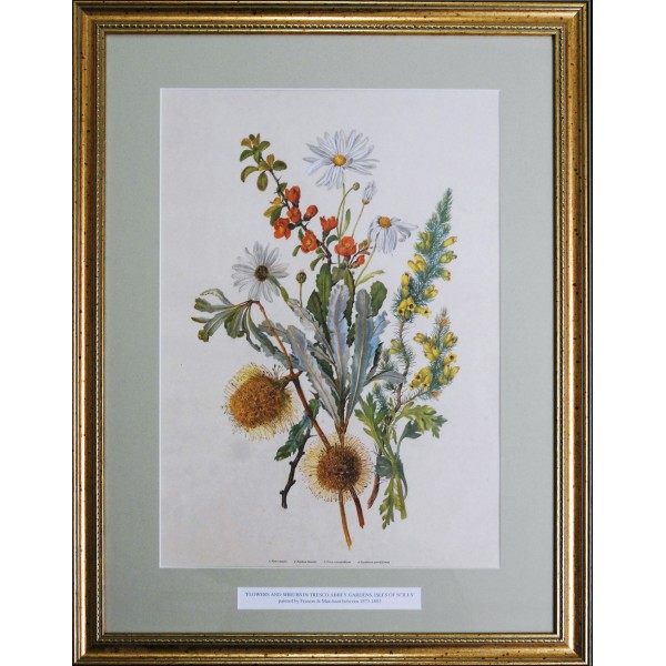 DH000019-600x600
